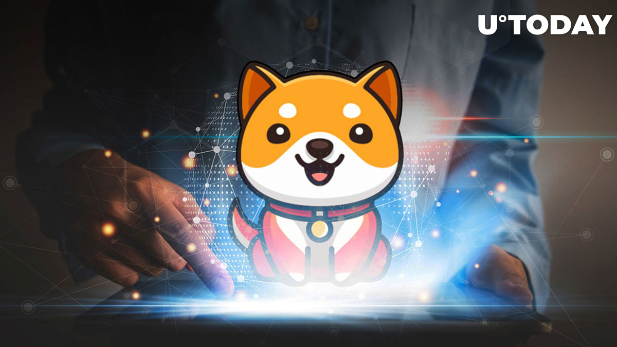 BabyDoge اکنون در فروشگاه های غیر آنلاین از طریق این ویژگی پذیرفته می شود